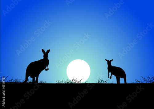 Australia background with kangaroo