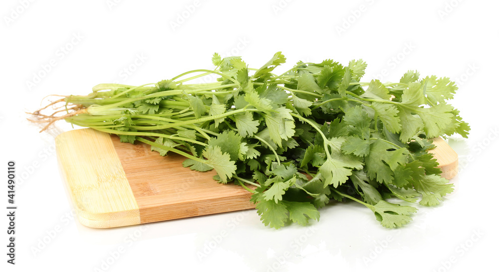fresh coriander or cilantro on wooden board isolated on white fresh coriander or cilantro on wooden board isolated on white