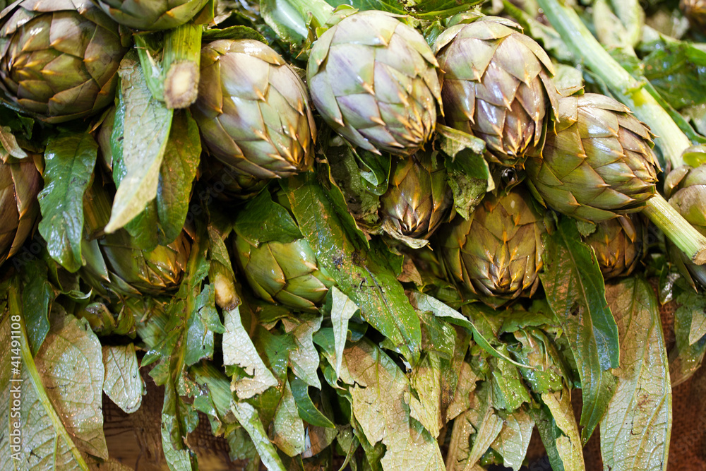 Obraz premium artichoke