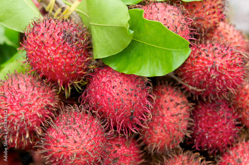 Rambutan Rambutan