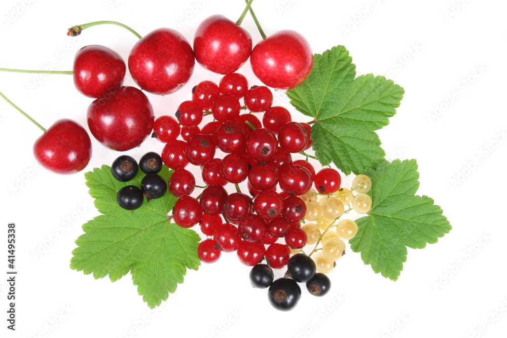 Fruits Fruits