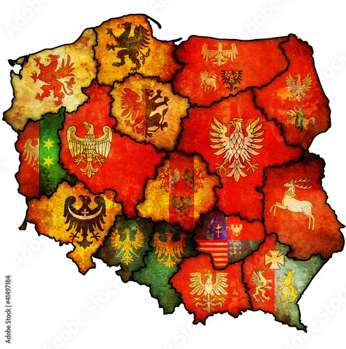 Obraz mapa administracyjna polski