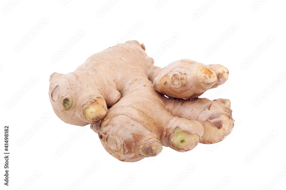Gingers root Gingers root