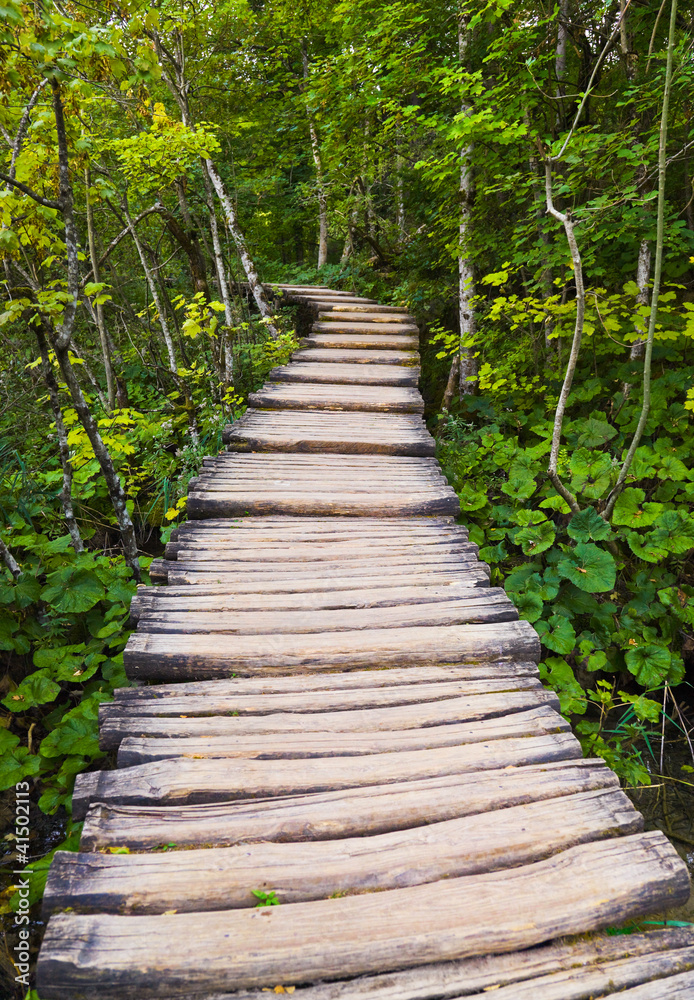 Pathway in Plitvice lakes park at Croatia Pathway in Plitvice lakes park at Croatia