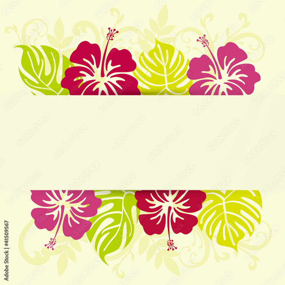 monstera and hibiscuses background frame