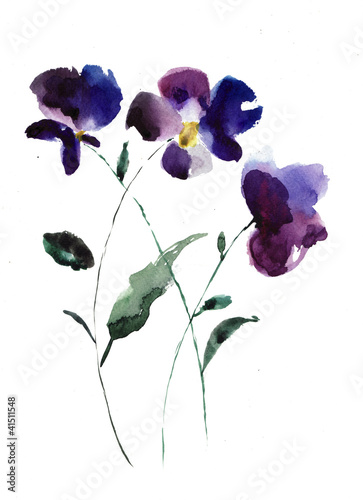 Obraz Akwarela ilustracja fioletowe kwiaty