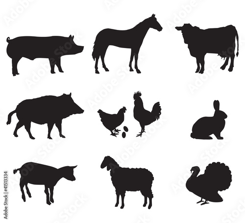 Carta da parati i cervi - Carta da parati animali della fattoria