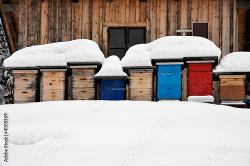 colorful beehives in the snow