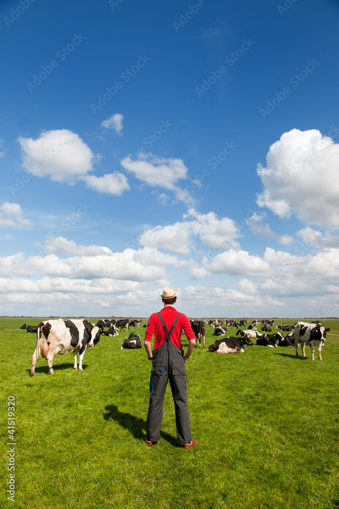 Typical Dutch landscape with farmer and cows