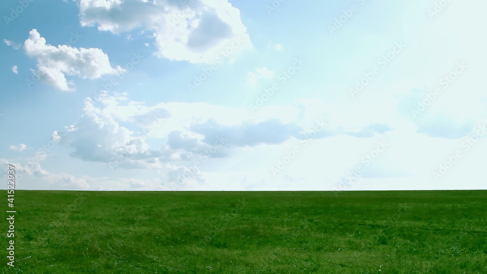 Meadow with green grass and blue sky with clouds Meadow with green grass and blue sky with clouds