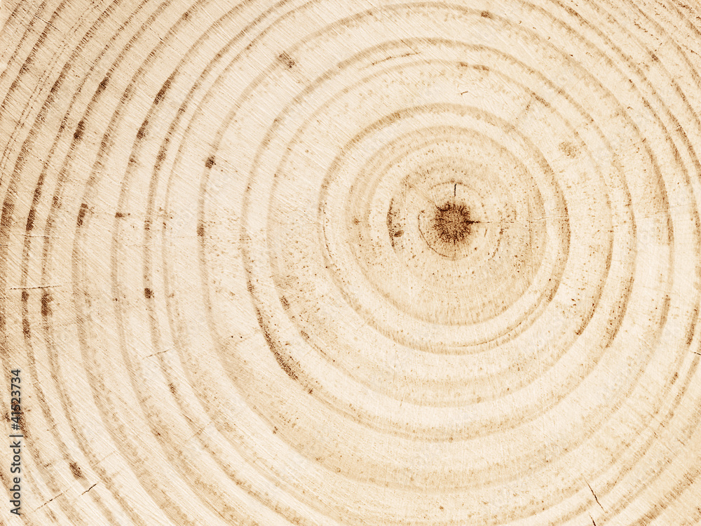 Naklejka premium Natural unpainted wooden texture