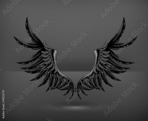 Wings black, vector