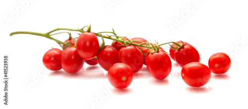 plum tomatoes on the vine