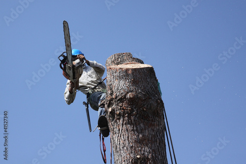 Tree trimmer dangerous jobs