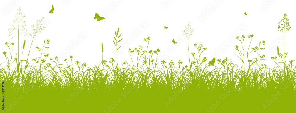 Fototapeta Łąka kwiatowa, trawa, łąka, zieleń, łąka polna, lato, wiosna