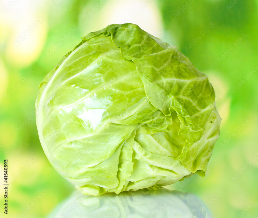 Cabbage on colorful green background