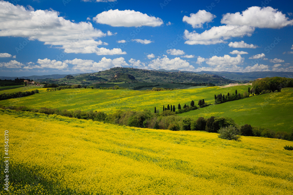 View of a Typical Tuscany Landscape in Spring time