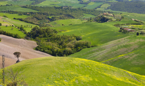 View of a Typical Tuscany Landscape in Spring time