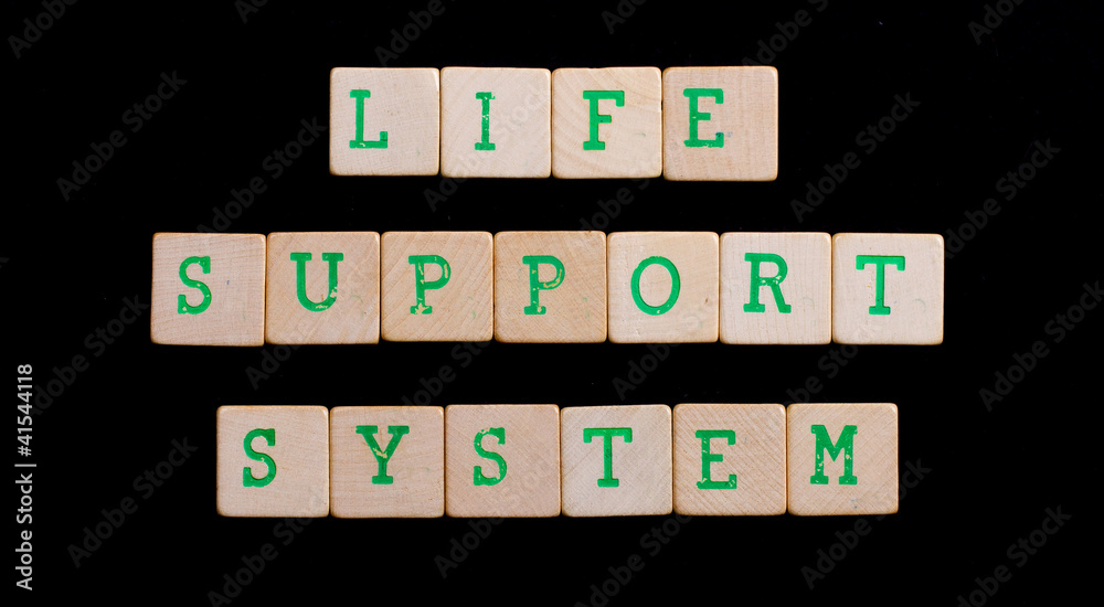 Green letters on old wooden blocks (life, support, system) Green letters on old wooden blocks (life, support, system)