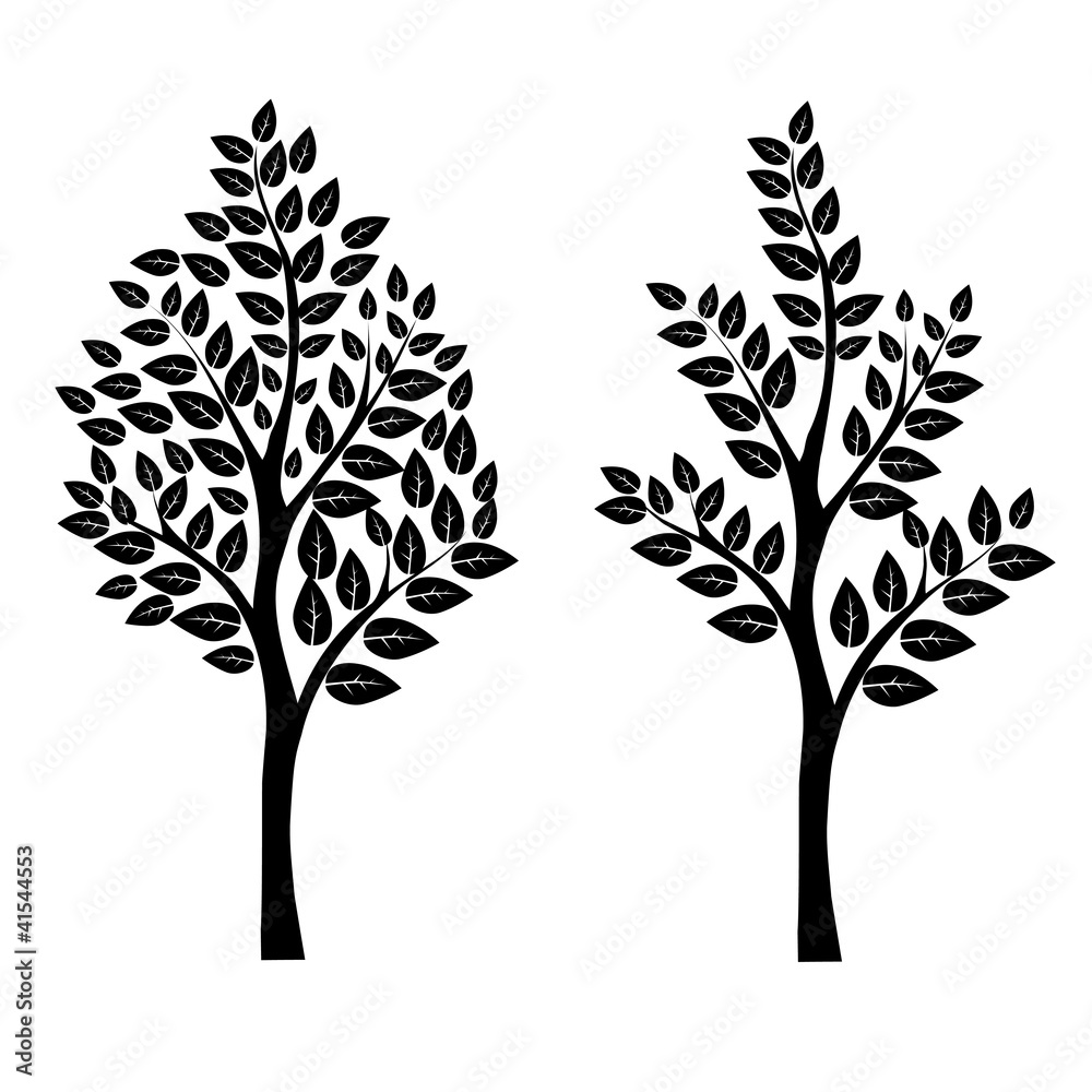 Black tree Black tree