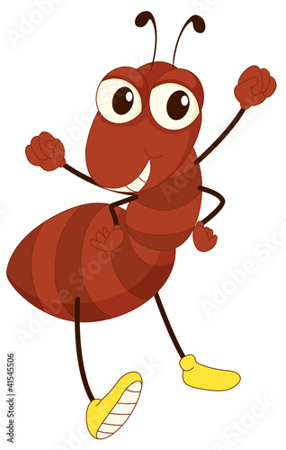 Simple insect