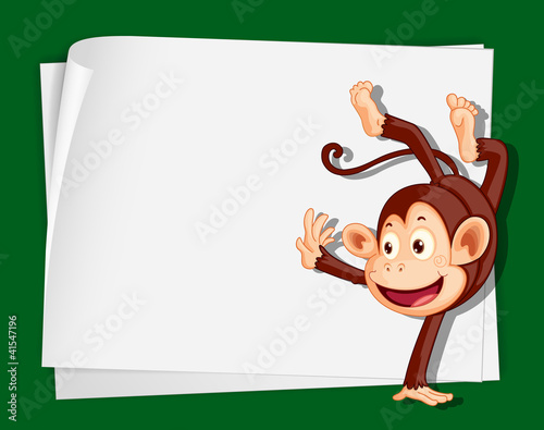 Crazy monkey
