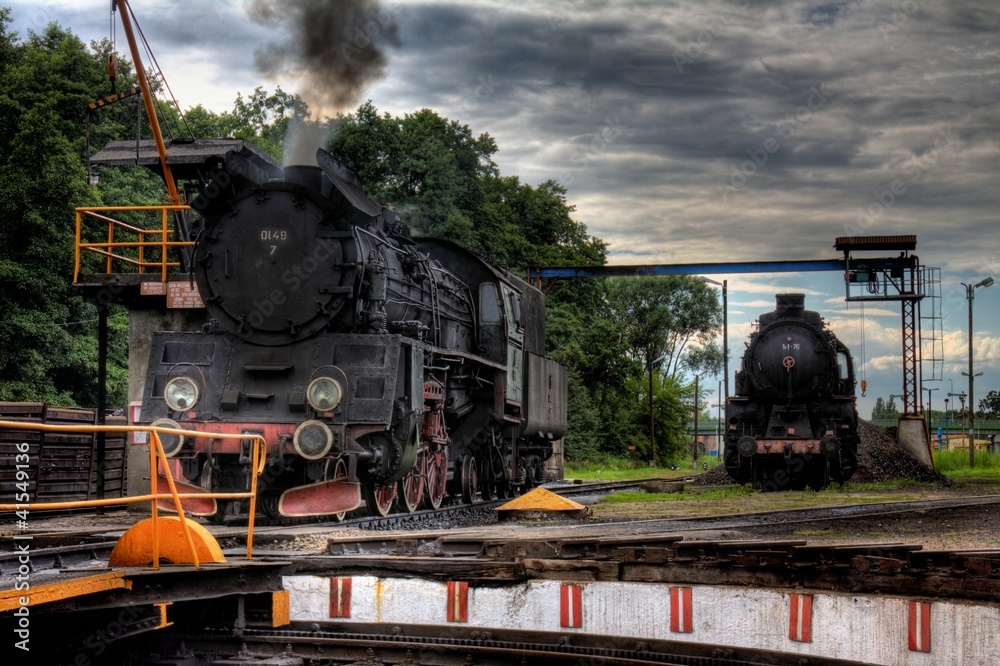 Fototapeta premium wolsztyn