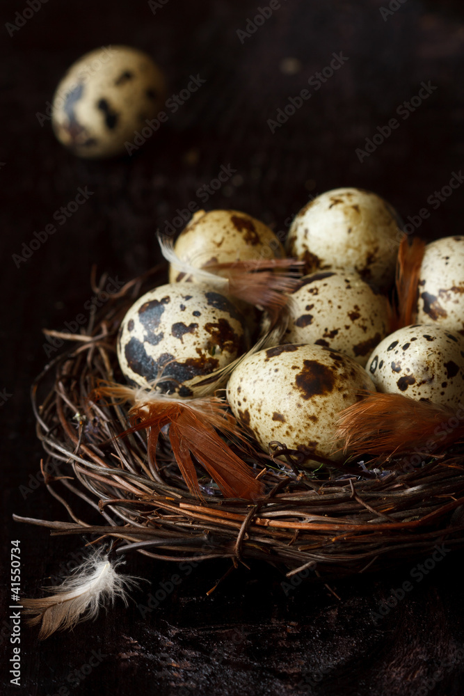 Obraz premium Quail eggs.