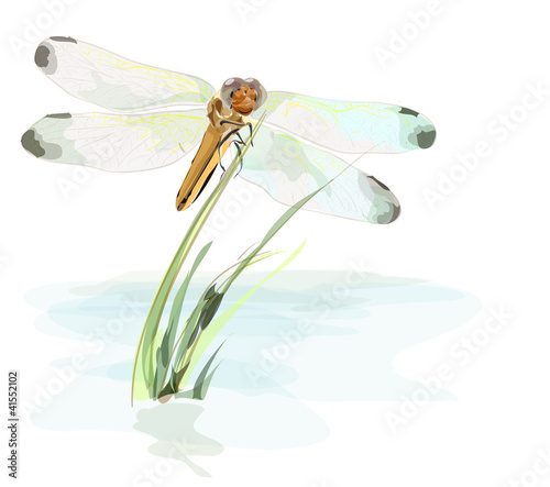 Dragonfly on a pond. Watercolor imitation.