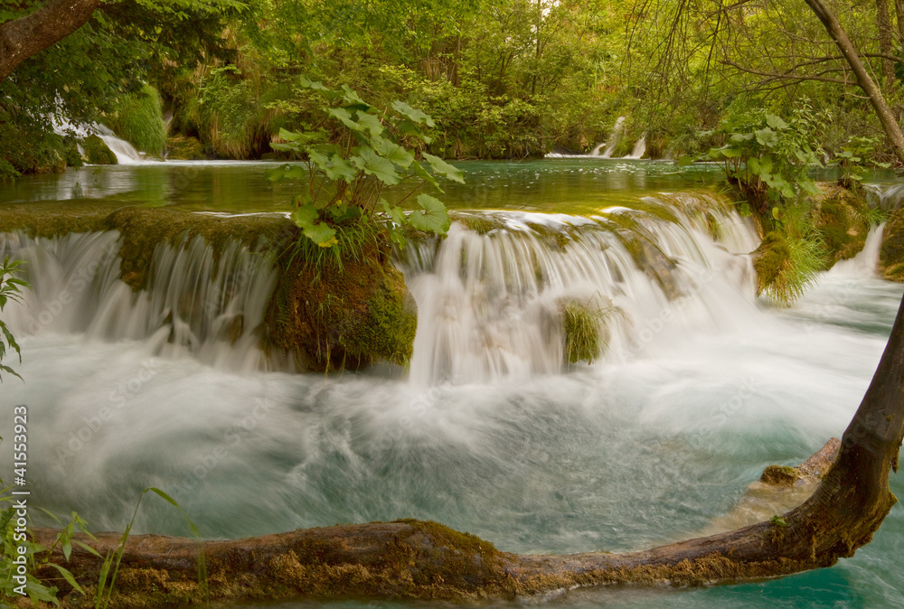 Fototapeta premium Green pond and waterfall.