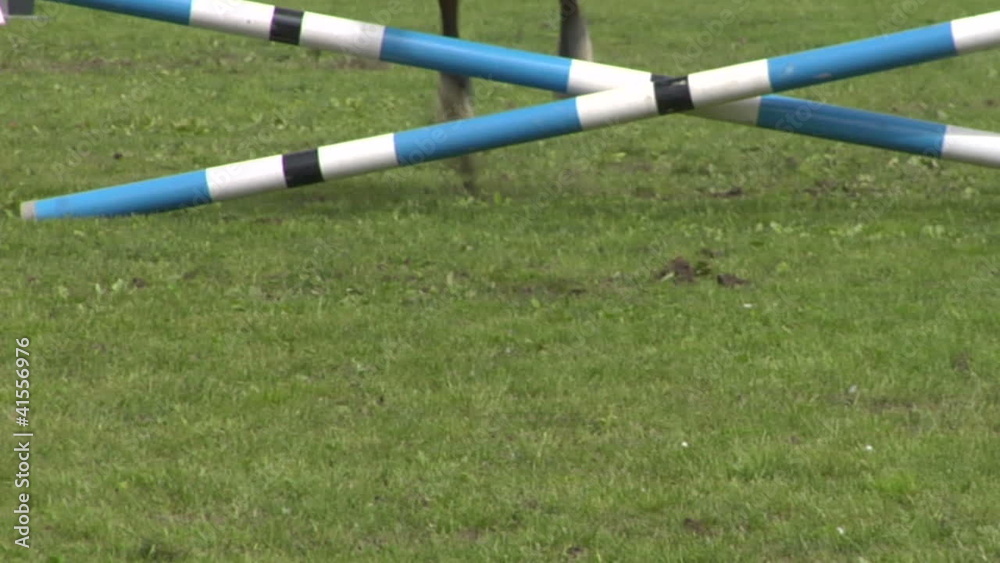 horse race jump close up 04 horse race jump close up 04
