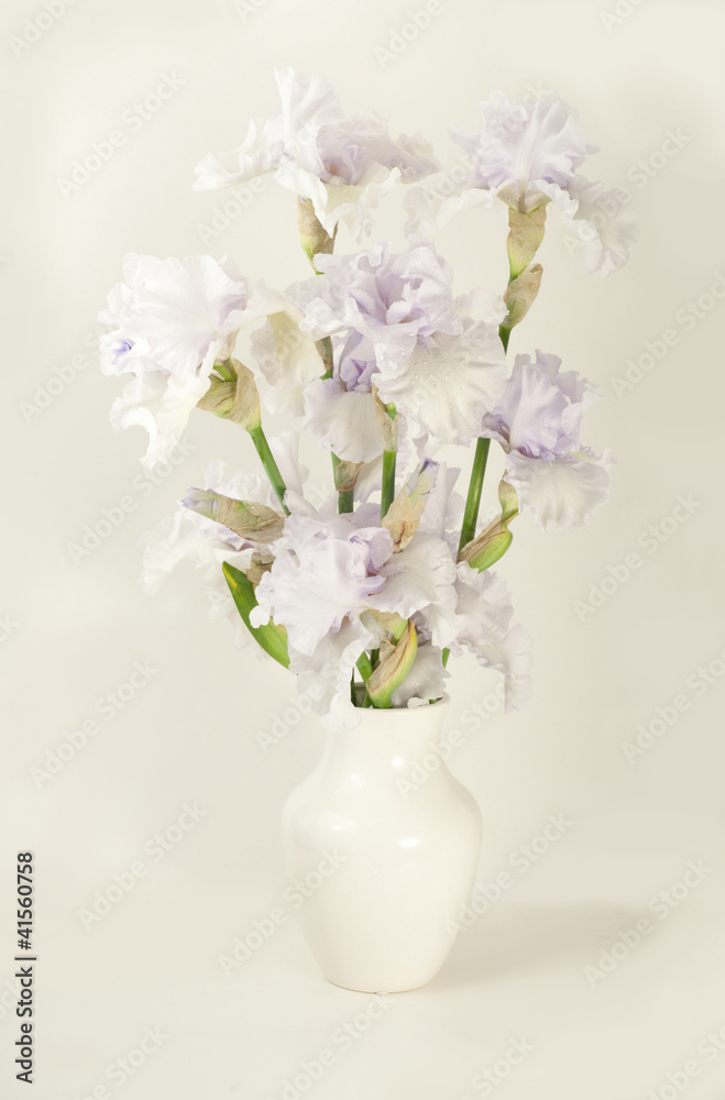 Bouquet of irises