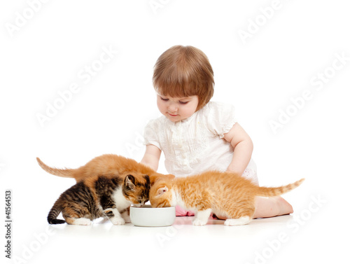 kid feeding cats with milk