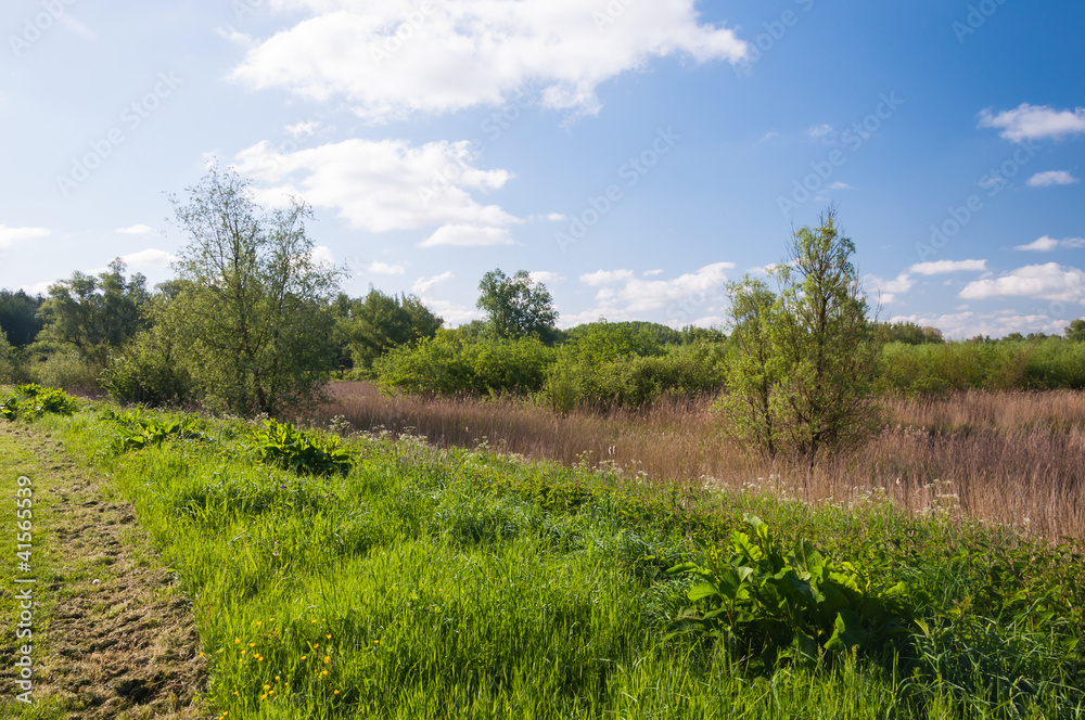 Dutch nature reserve in springtime