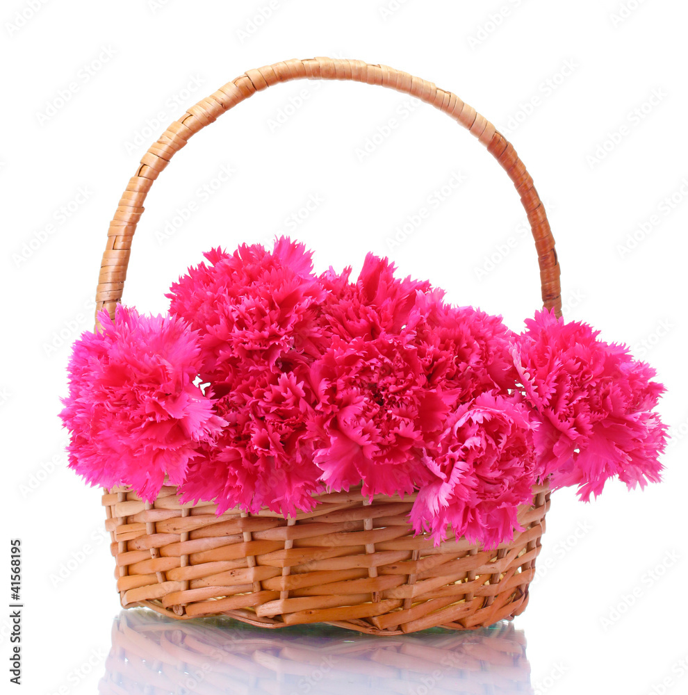 Beautiful pink carnations in basket isolated on white Beautiful pink carnations in basket isolated on white