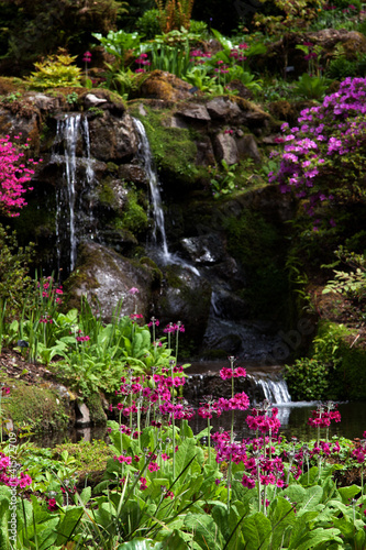 Bodnant gardens photo