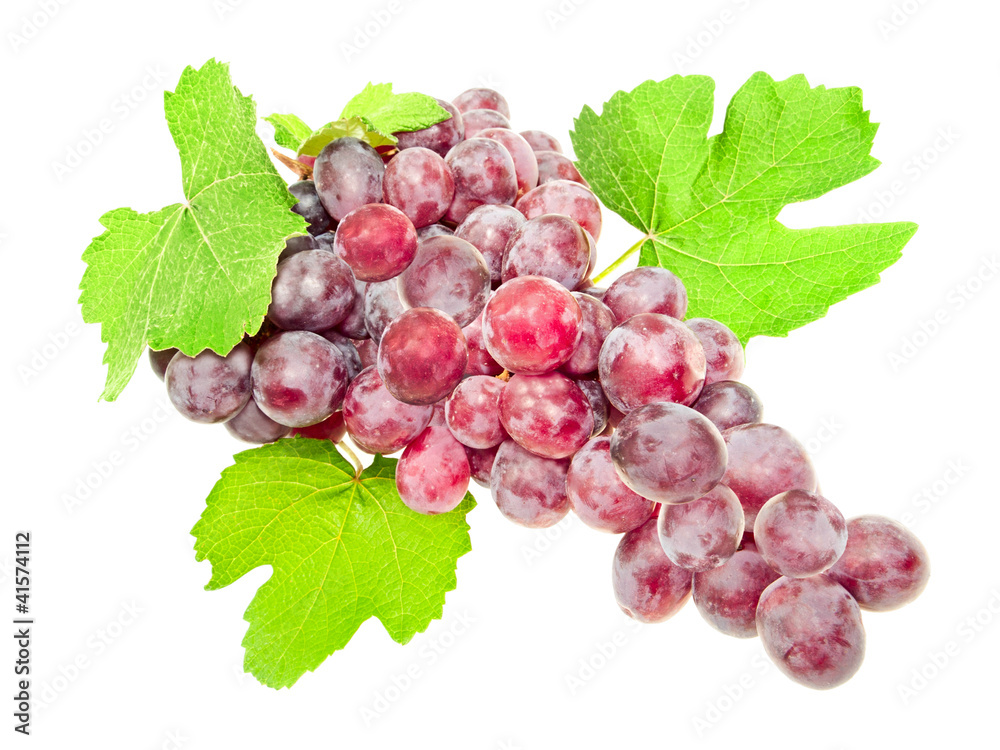 Fototapeta premium Grapes