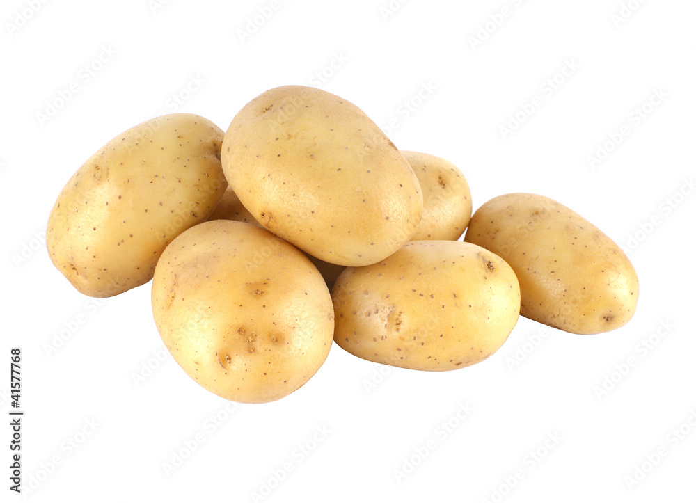 Fresh Potato isolated on white background Fresh Potato isolated on white background