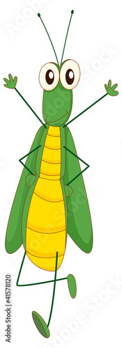 Grasshopper