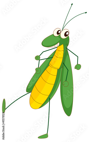 Grasshopper