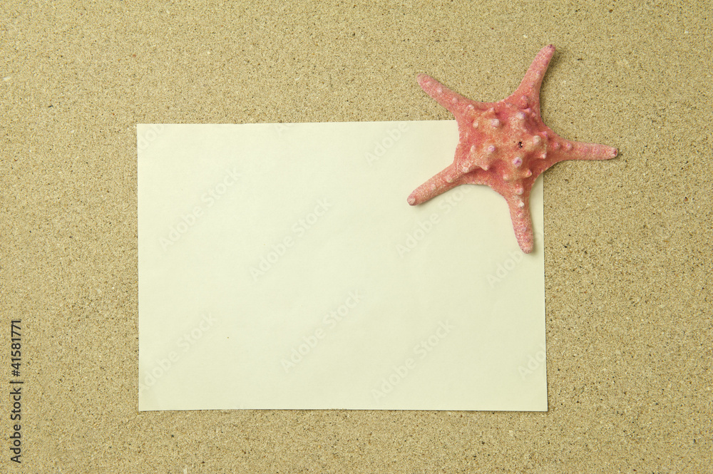 starfish and shells with frame on the beach, vacation memories starfish and shells with frame on the beach, vacation memories