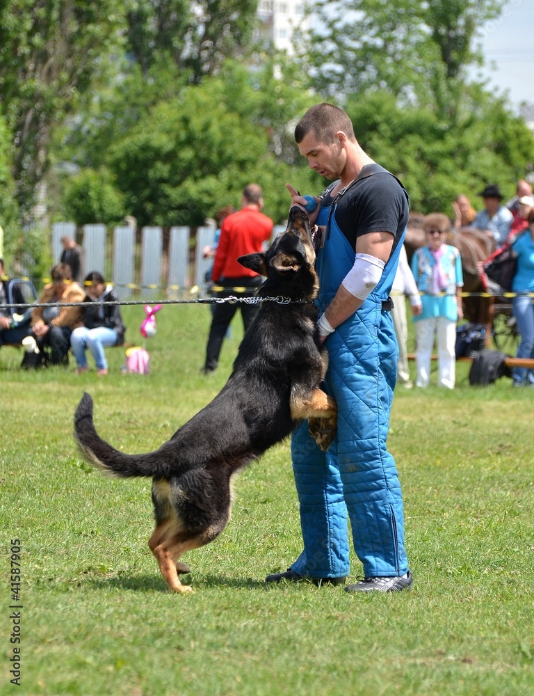 police dog police dog