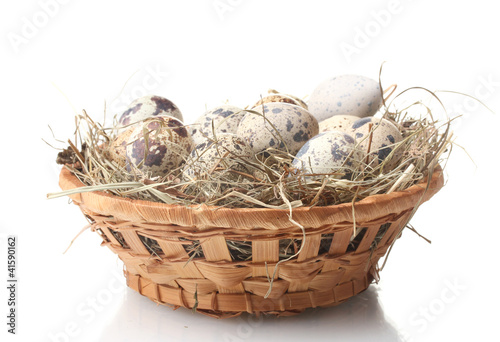 quail eggs in nest isolated on white