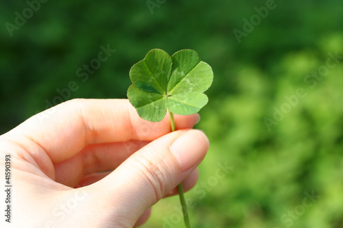 Obraz na płótnie four leaf clover
