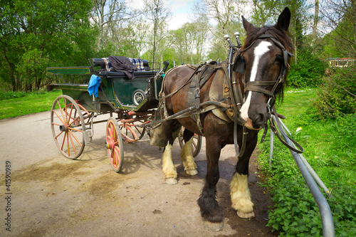 Horse ride in Killarney National Park © Patryk Kosmider
