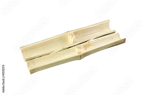 Bamboo tube cut off on white background.