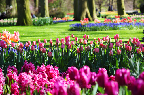 Fototapeta Naklejka Na Ścianę i Meble -  Beautiful blooming spring garden