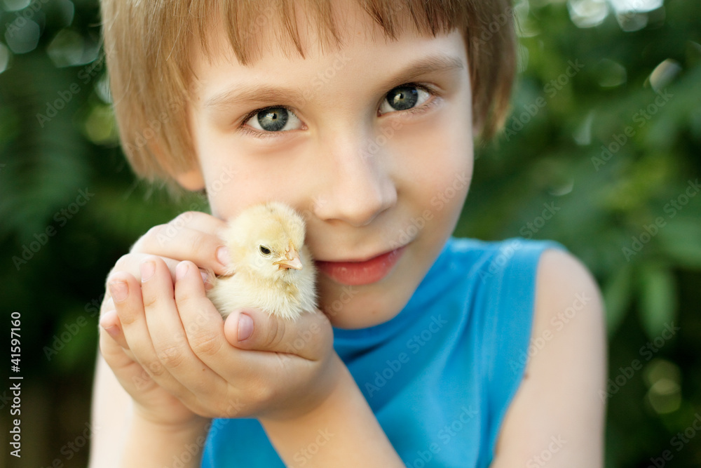 boy cute hugs chiken in hand nature summer outdoor boy cute hugs chiken in hand nature summer outdoor