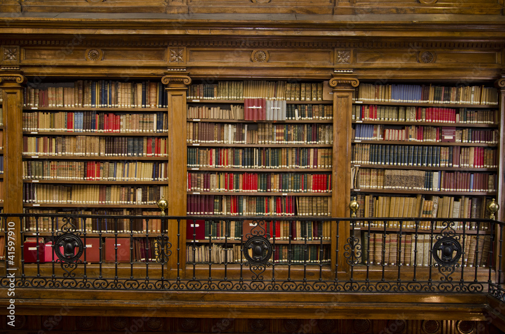 Magnificent library of books and ancient scrolls Magnificent library of books and ancient scrolls