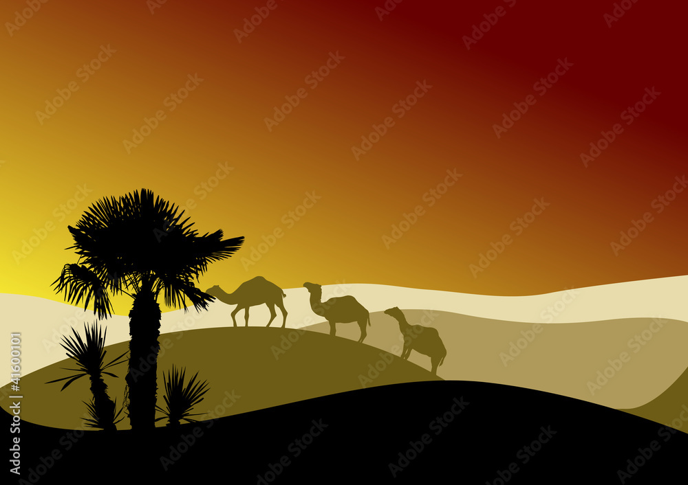 camel caravan in sunset desert